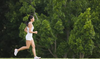 Trail des Chevreuils à Fallais - Sport - Wekty