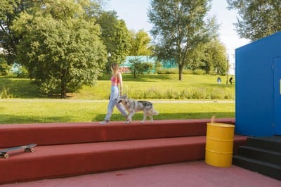 Week-end canin à Trooz : concours et test social en Belgique - Wekty