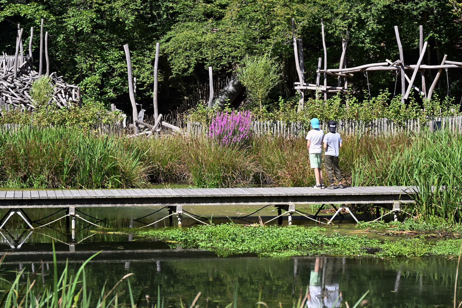 Domaine provincial de Chevetogne en Belgique - Wekty