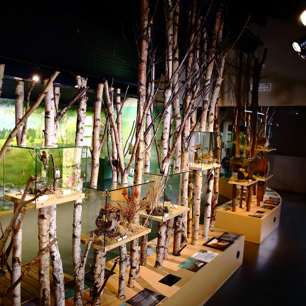 Musée de la Forêt et des Eaux à Spa - Culture - Wekty