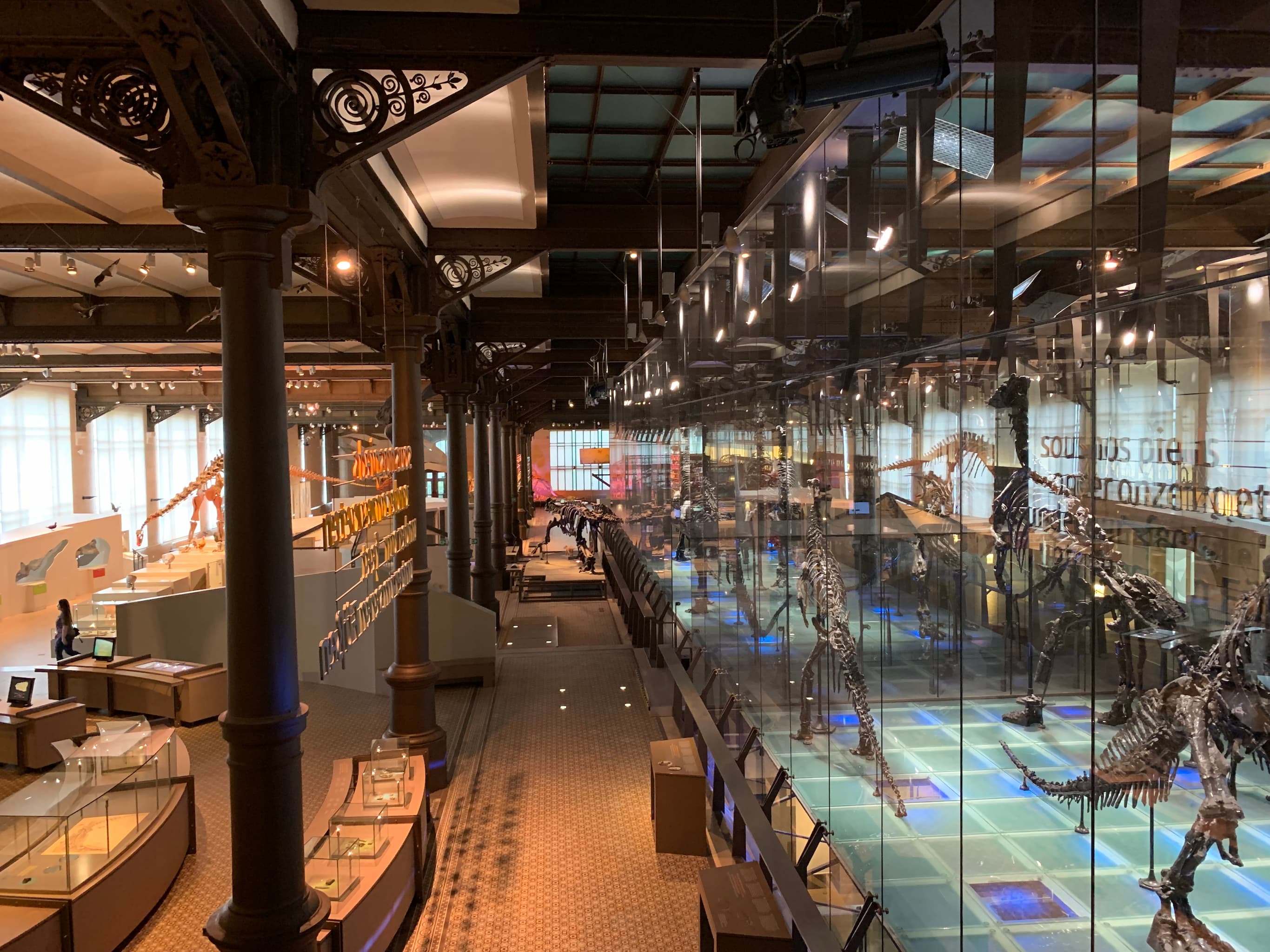 Institut royal des Sciences naturelles de Belgique à Bruxelles - Sciences - Wekty