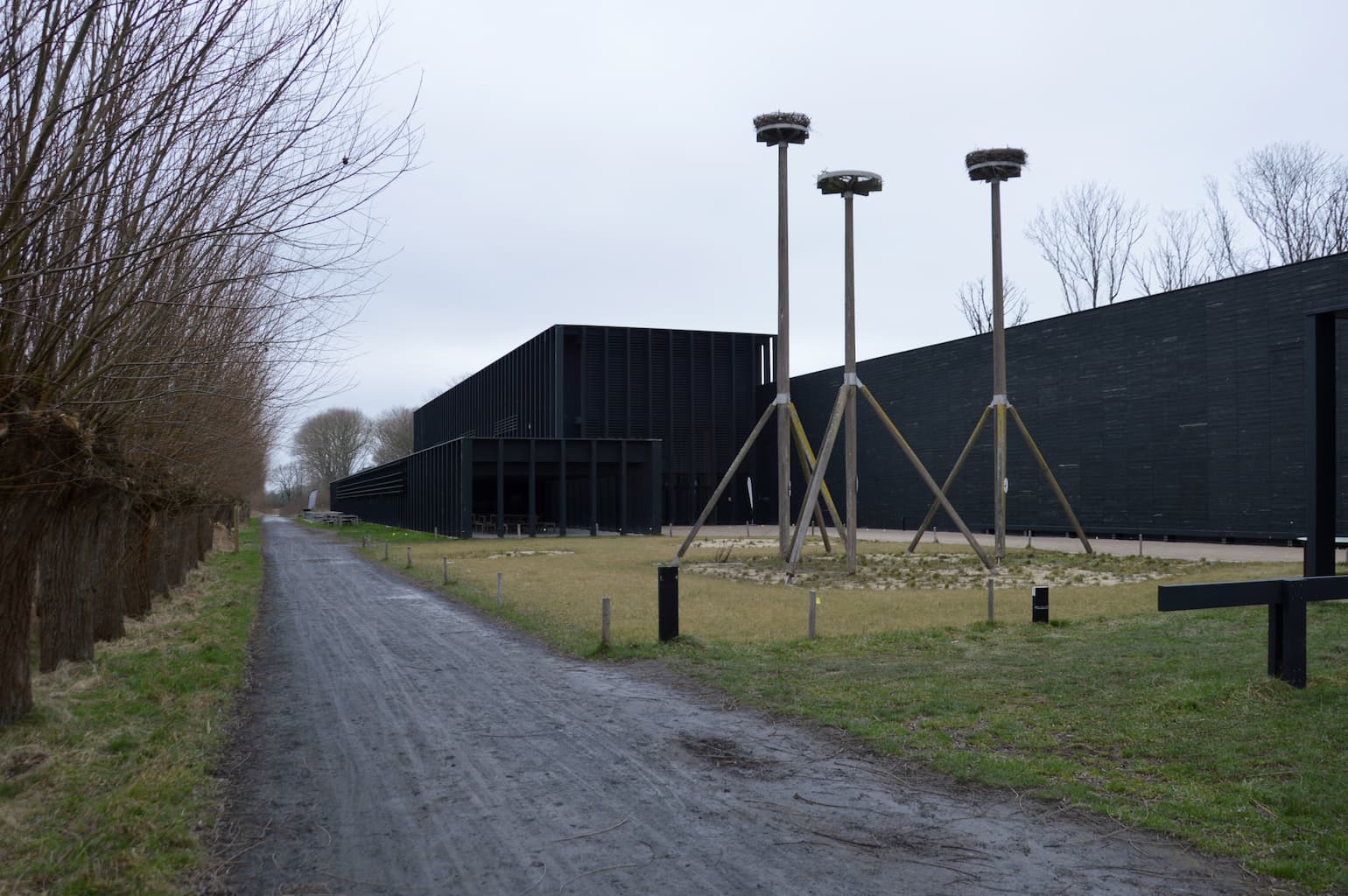 Parc naturel du Zwin en Belgique - Wekty