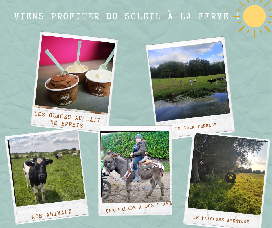 La Ferme du Planois à Hennuyères - Ferme - Wekty