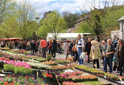Marché aux Fleurs de Chokier à Flémalle - Marché / Brocante - Wekty