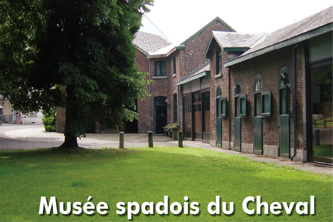 Exposition du Musée spadois du Cheval à Spa - Musée - Wekty