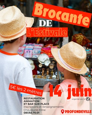 Brocante de l'Estival en Belgique - Wekty
