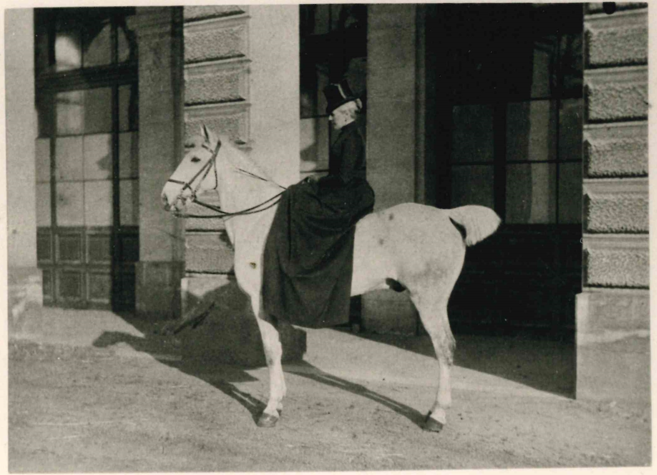 A la découverte de l'histoire fascinante du cheval à Spa en Belgique - Wekty