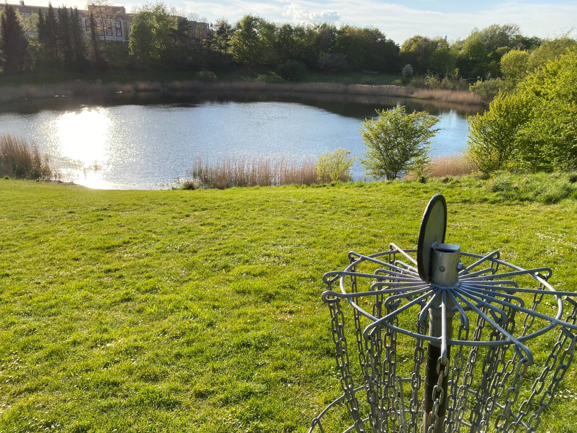 Disc Golf à Louvain-la-Neuve à Louvain-La-Neuve - Sport - Wekty