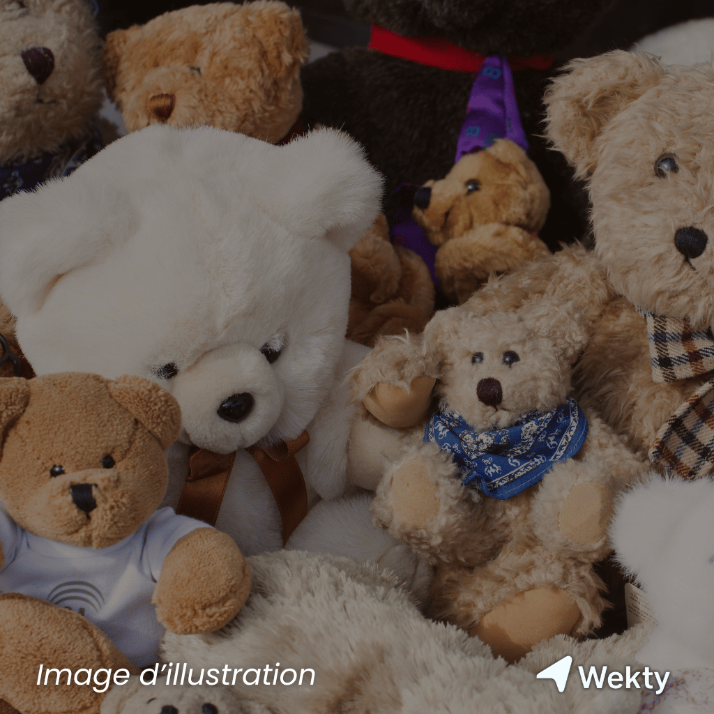 La Fabrique à Jouets à Liège - Expo / Salon - Wekty