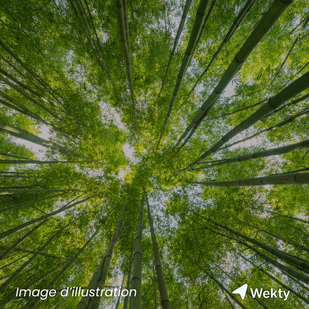 Domaine de Bourgogne en Belgique - Wekty