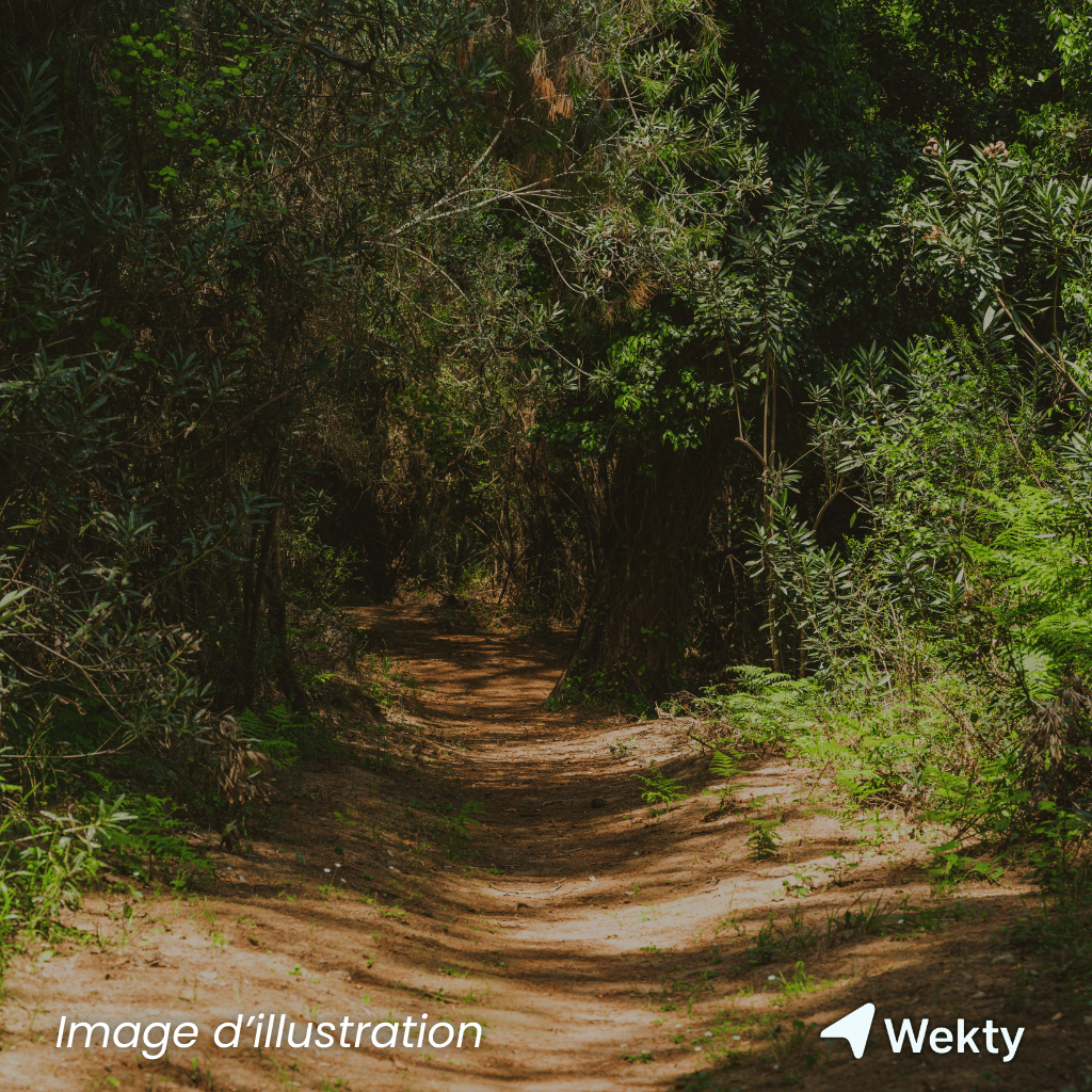 Balade contée d’hiver : les 4 éléments à Nivelles - Concert / Spectacle - Wekty