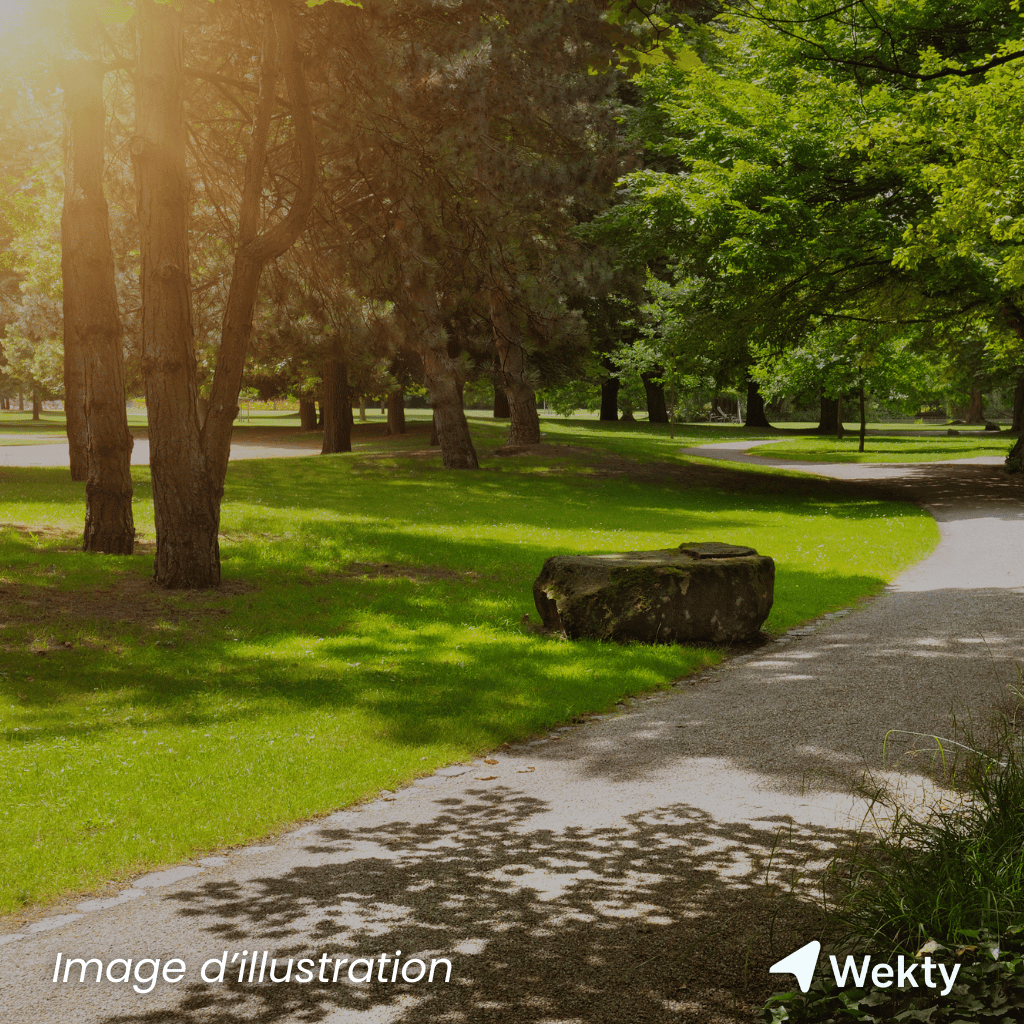 Parc à Gibier de Saint-Hubert en Belgique - Wekty