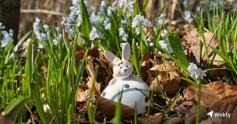 Idées d'activités en famille pendant les vacances de printemps et de Pâques en Wallonie