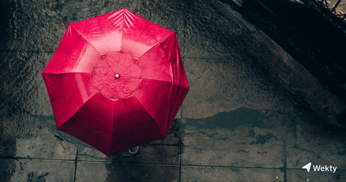 Que faire quand il pleut en Belgique ? Activités intérieures avec Wekty